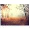 Designart - Charming Rural Field in Morning - Extra Large Wall Art Landscape